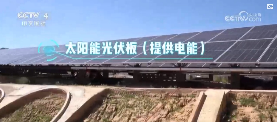 走进实验室看新质生产力|零碳供能:为“双碳”目标提供新路径 走进实验室看新质生产力|零碳供能:为“双碳”目标提供新路径