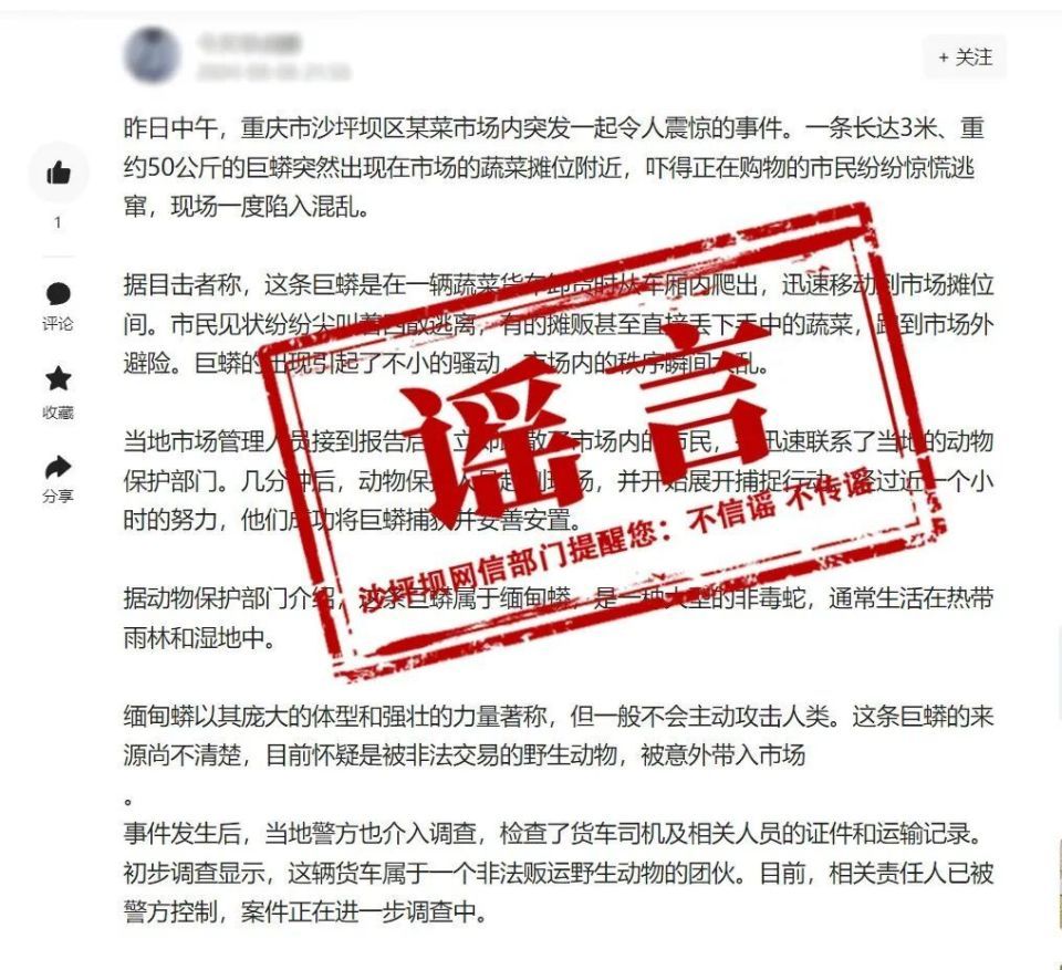 重庆沙坪坝某菜市场惊现3米长50公斤巨蟒？谣言！