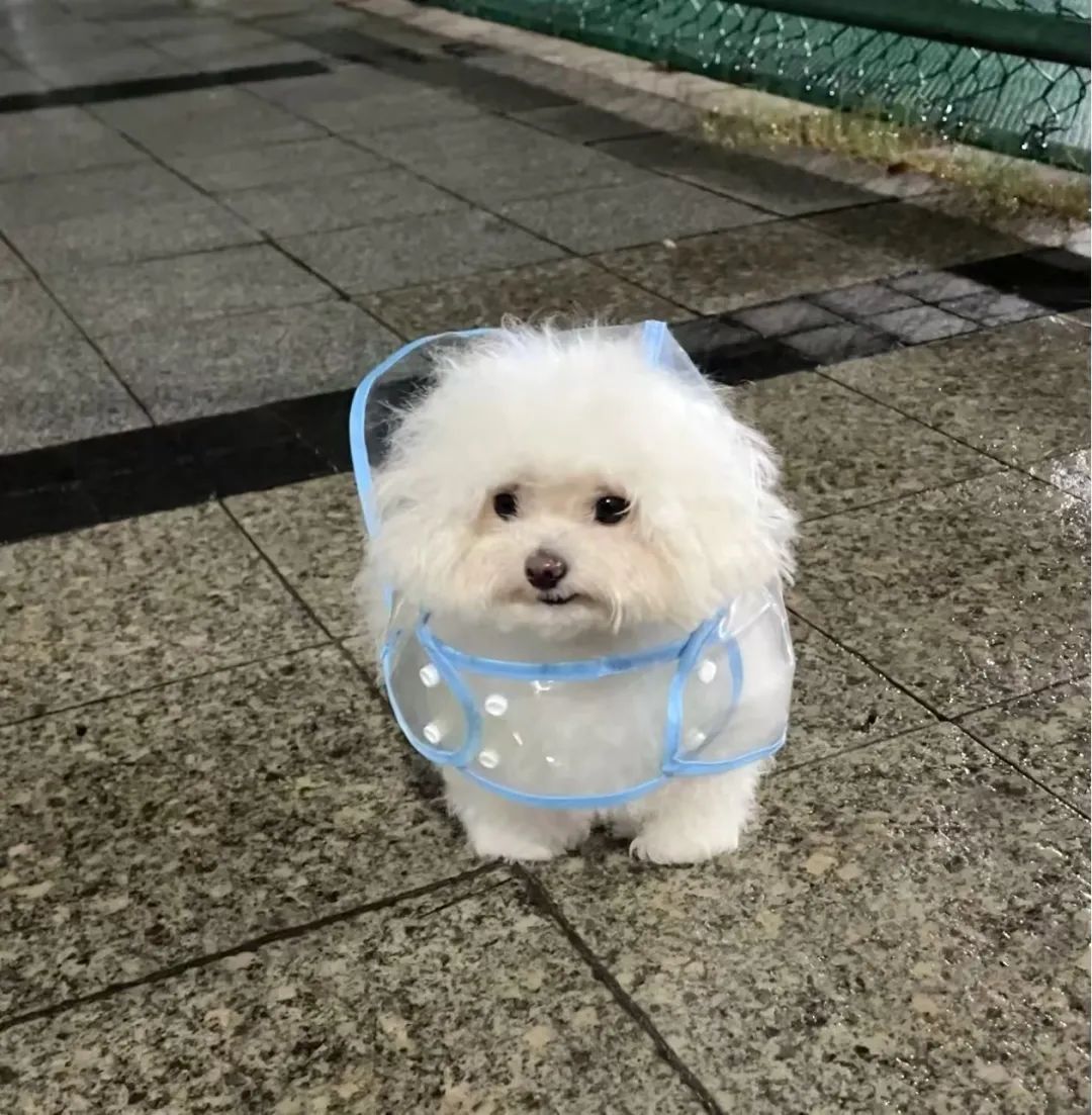 大风+冰雹+暴雨+雷电!申城“四黄”预警高挂 大风+冰雹+暴雨+雷电!申城“四黄”预警高挂