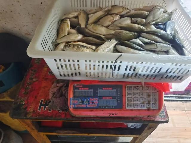 事发聊城，深夜非法电鱼，2人被抓……