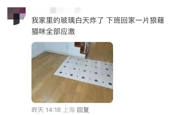 上海热到玻璃都炸了？好消息，降温+降雨来了！