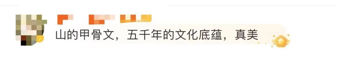 创历史夺金！教练、解说都哭了，这个细节太惊艳