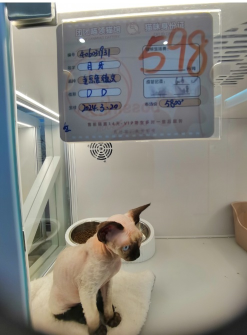 领养猫咪被要求买配套高价猫粮！多位消费者因拒买被商家告上法院