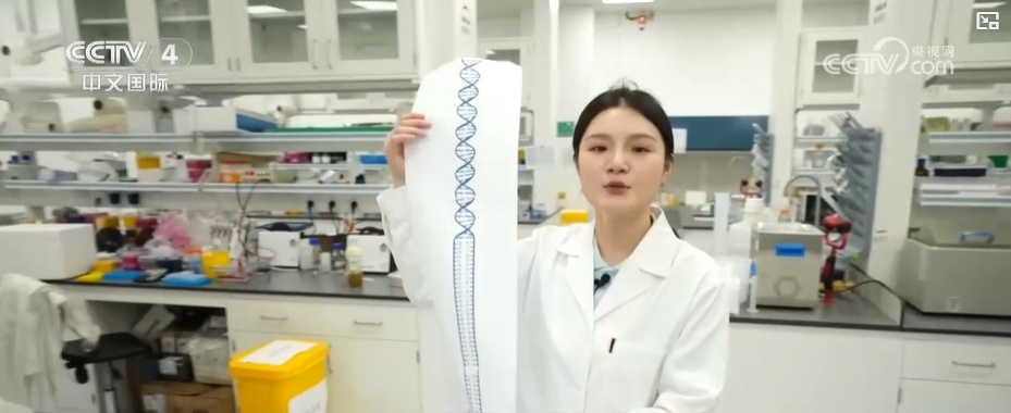 走进实验室看新质生产力 | 浙江杭州:之江实验室 能上天入地的AI算力 走进实验室看新质生产力 | 浙江杭州:之江实验室 能上天入地的AI算力