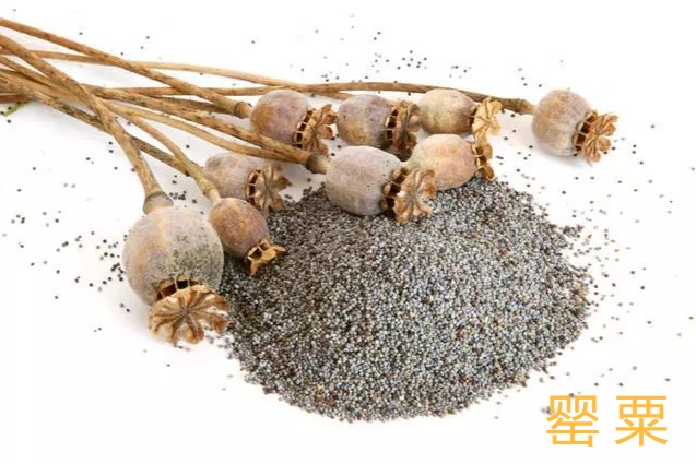 男子为招揽生意，竟在卤菜中添加罂粟壳！