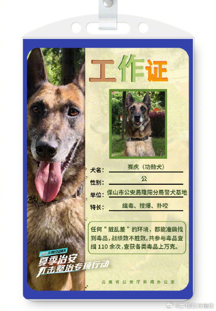 警汪集合！被警犬的工作证件照帅到了