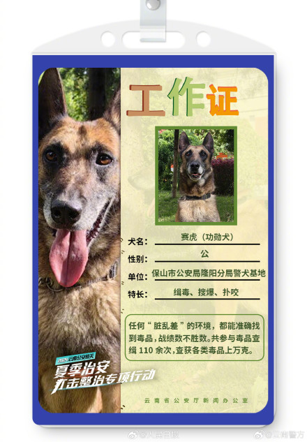 警方发布的警犬工作证又帅又萌