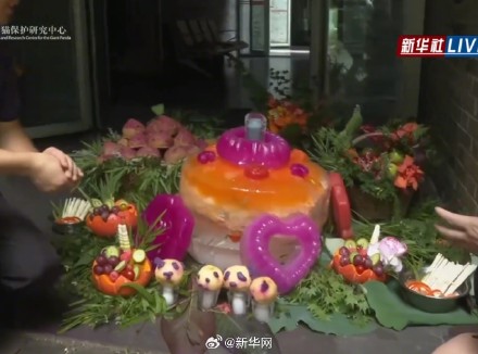 大熊猫过生日吃水果冰蛋糕