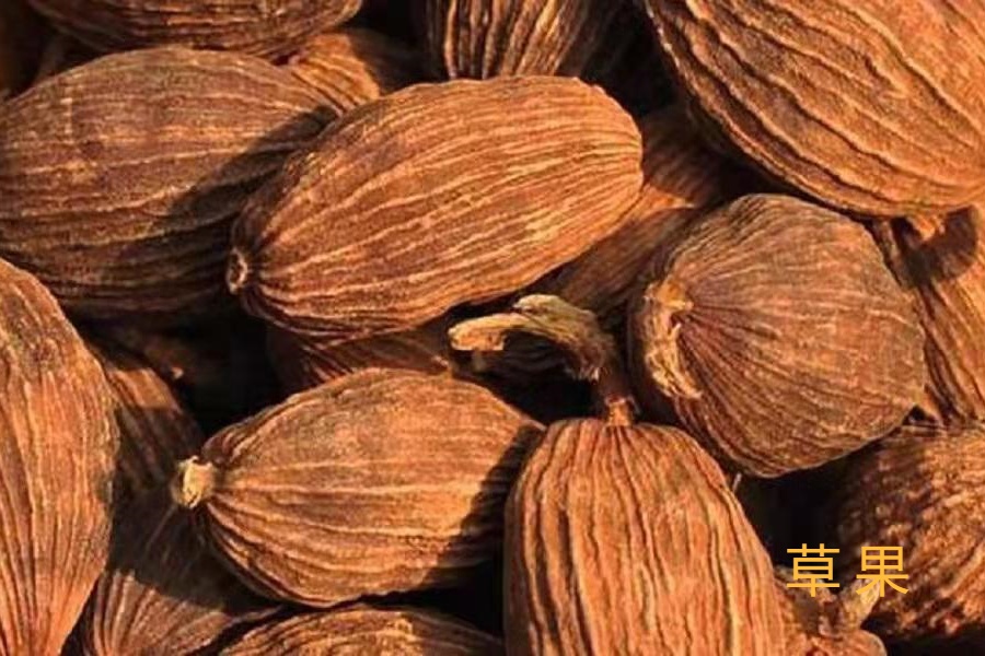 男子为招揽生意，竟在卤菜中添加罂粟壳！