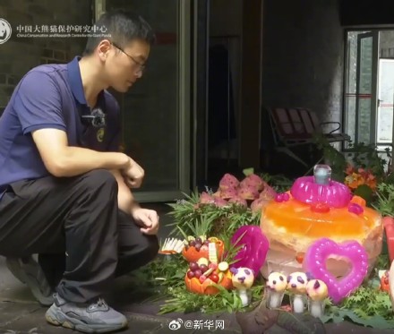 大熊猫过生日吃水果冰蛋糕