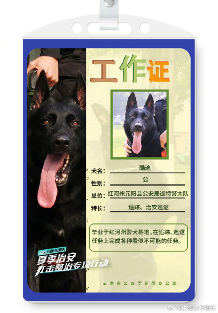 警汪集合！被警犬的工作证件照帅到了