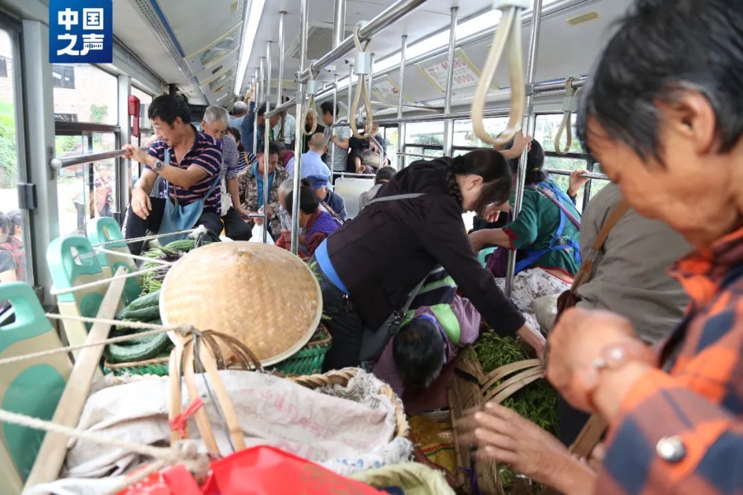 这班“量身定制”的公交火了