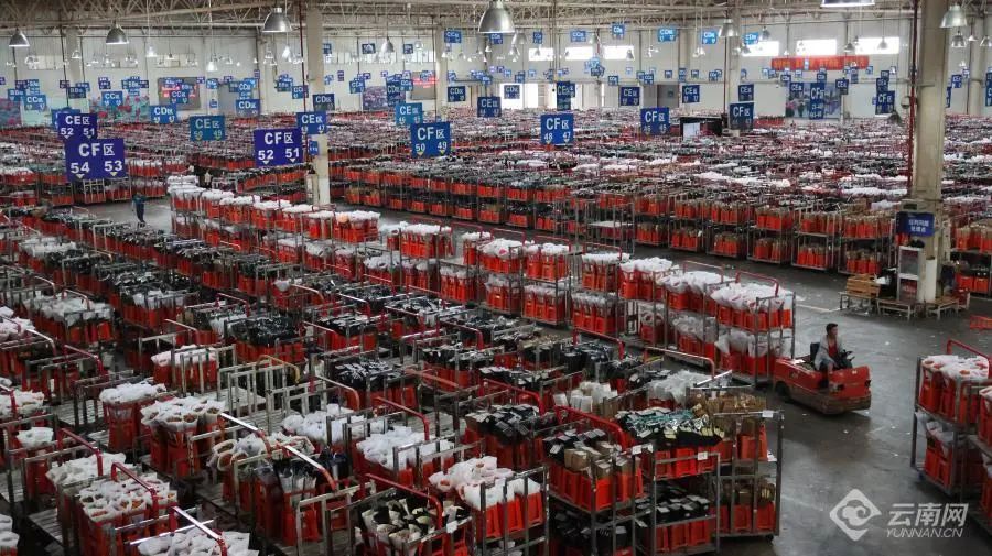 价格上涨40%！七夕将至，云南鲜切花市场火热