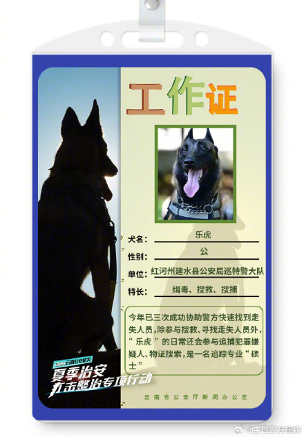 警汪集合！被警犬的工作证件照帅到了