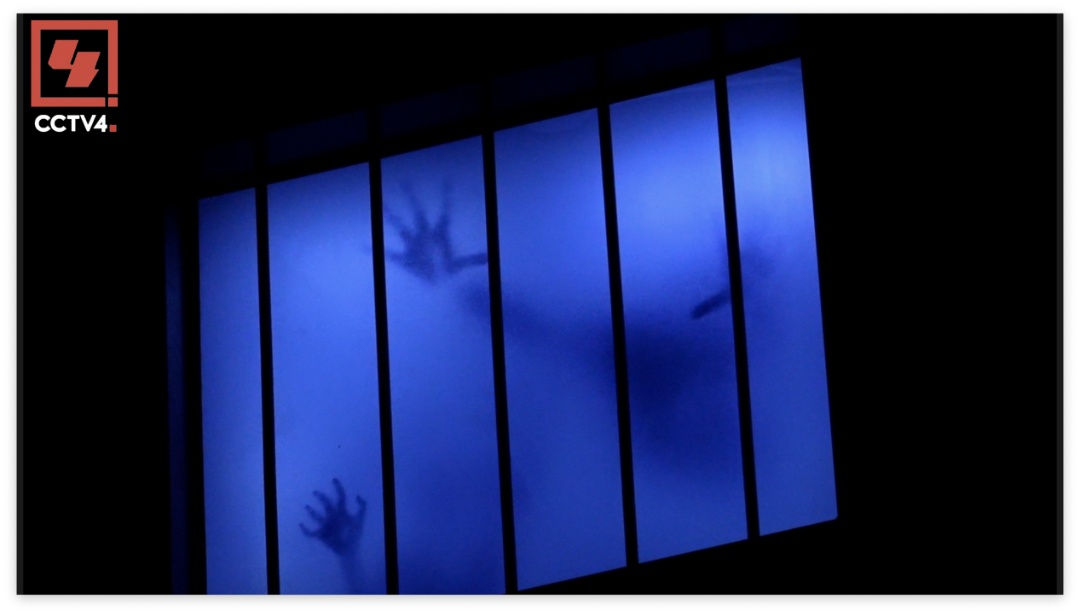 跨国追踪二十余载 还原七三一部队犯罪真相