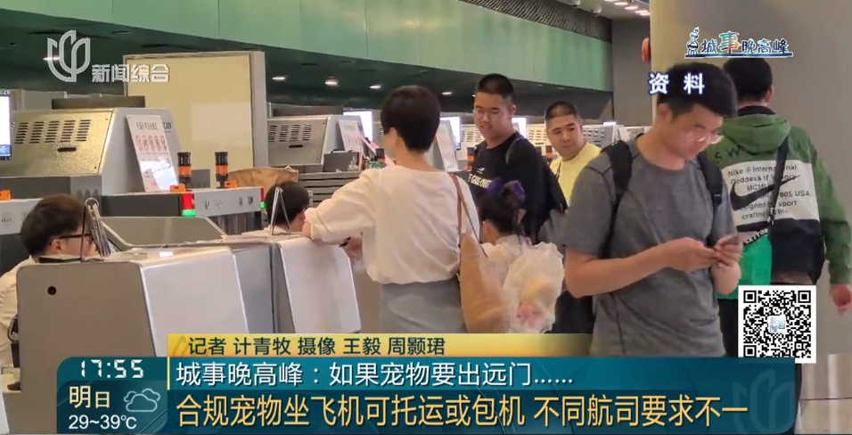 带宠物出远门？上海一地铁站本月已发现多例，曾有人被拘......