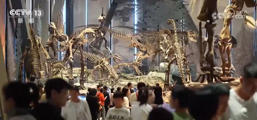 暑期自然科普热 各地科普场馆迎来人流高峰期 暑期自然科普热 各地科普场馆迎来人流高峰期