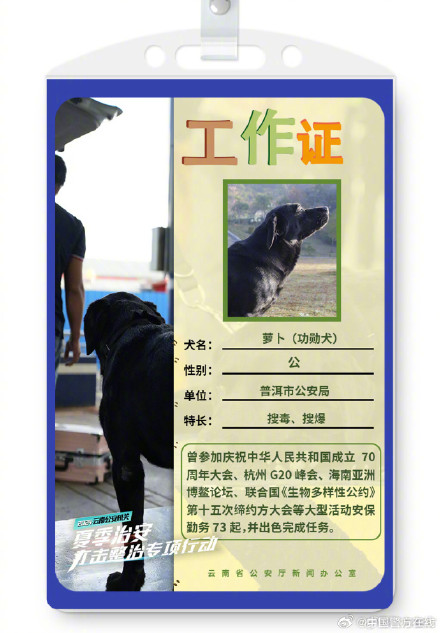 警汪集合！被警犬的工作证件照帅到了