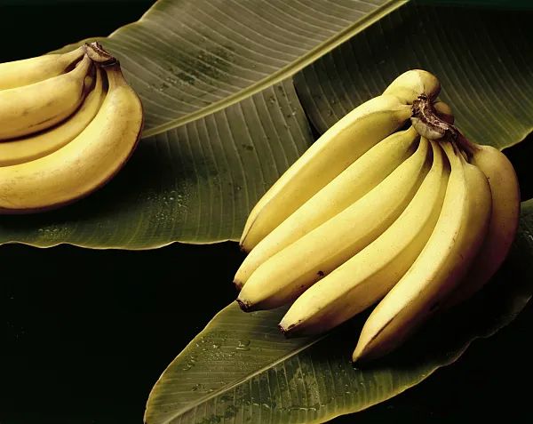 巴黎奥运会用了300万个! 它是运动员最爱! 劝你健身时也带→ 巴黎奥运会用了300万个! 它是运动员最爱! 劝你健身时也带→