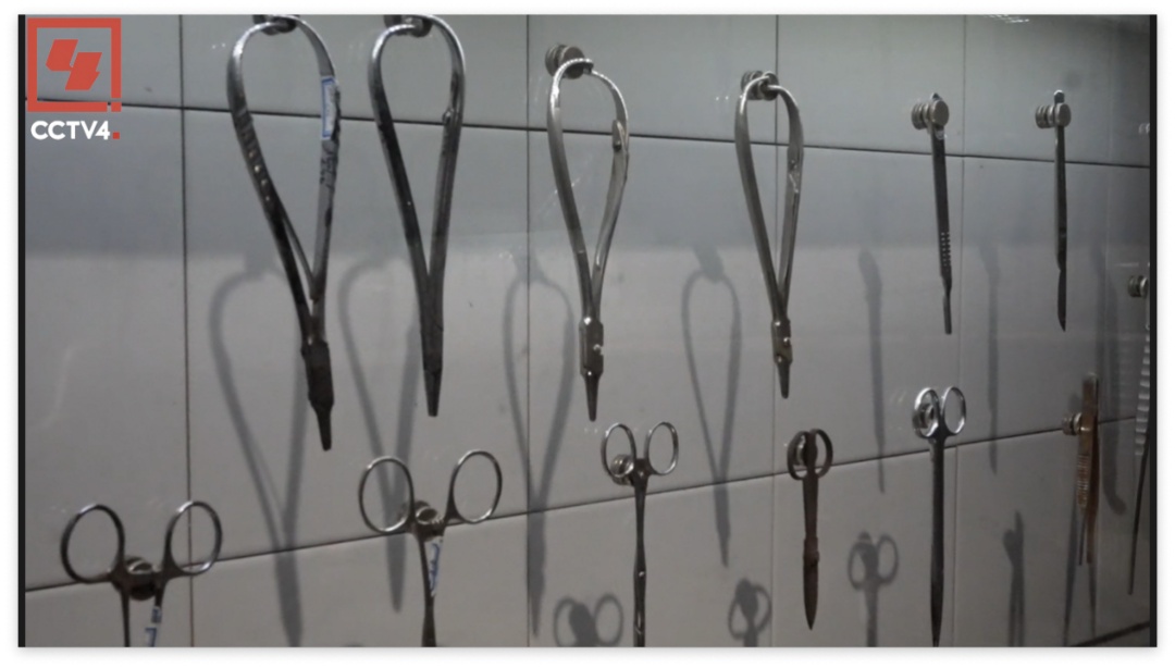 跨国追踪二十余载 还原七三一部队犯罪真相