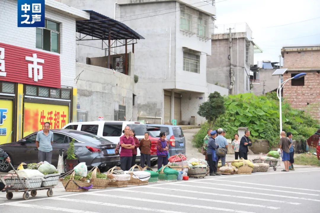 这班“量身定制”的公交火了