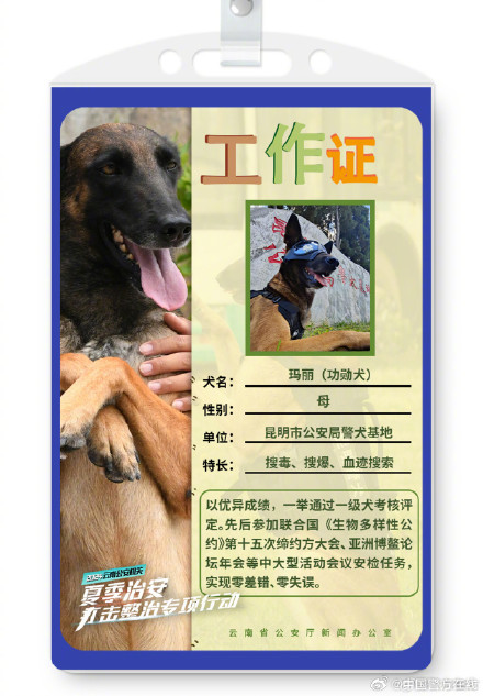 警汪集合！被警犬的工作证件照帅到了
