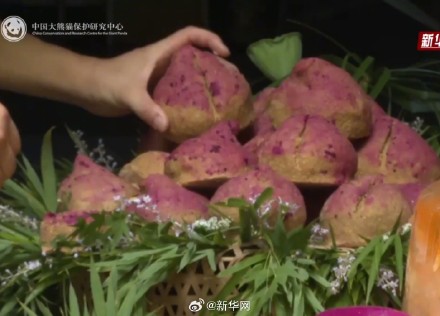 大熊猫过生日吃水果冰蛋糕