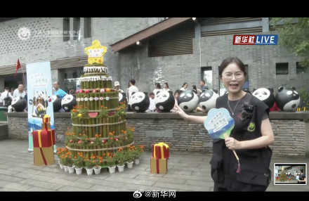 大熊猫过生日吃水果冰蛋糕