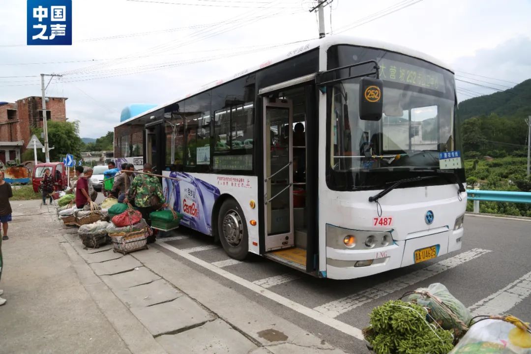 这班“量身定制”的公交火了