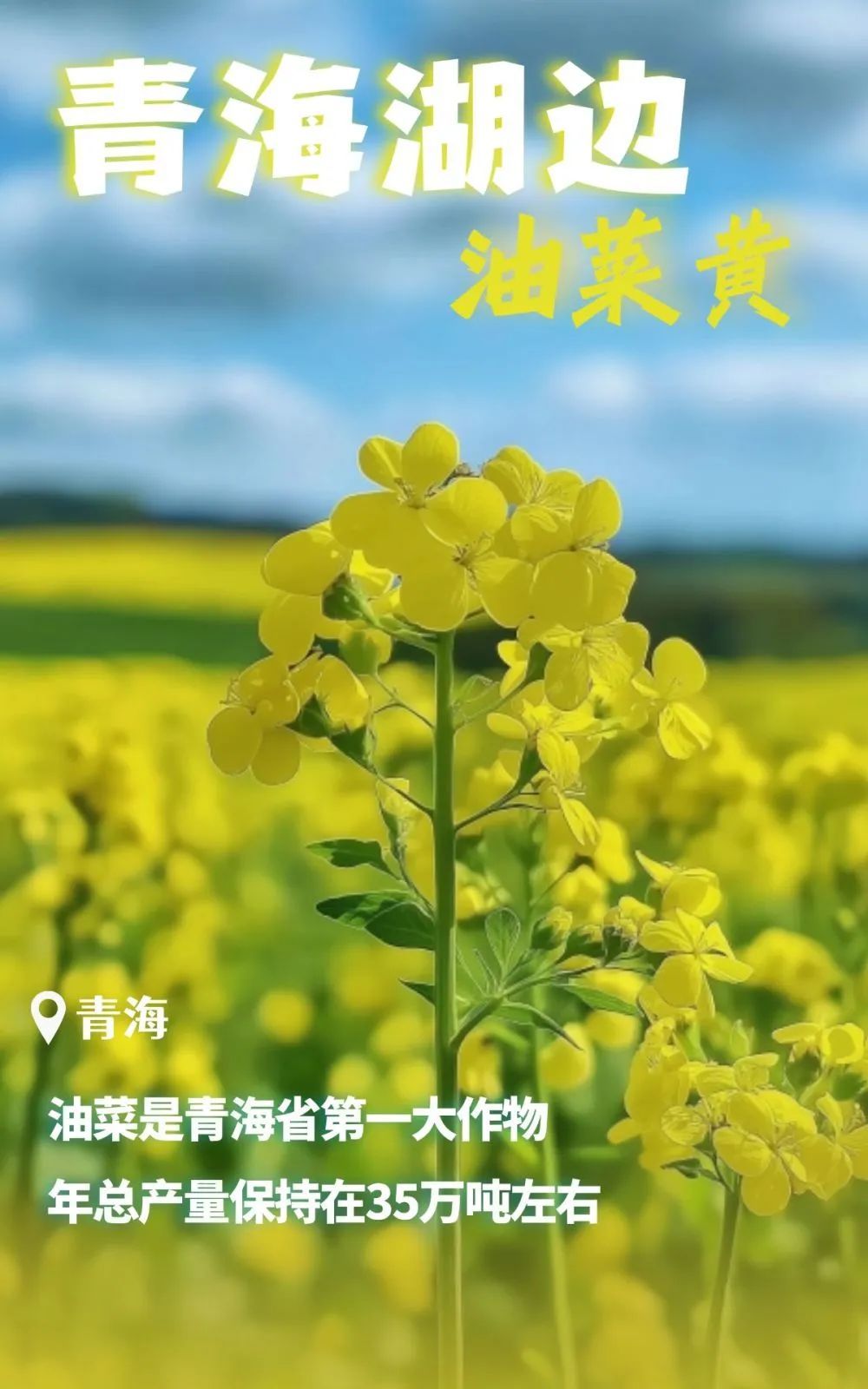 北纬38度！原来这么浪漫