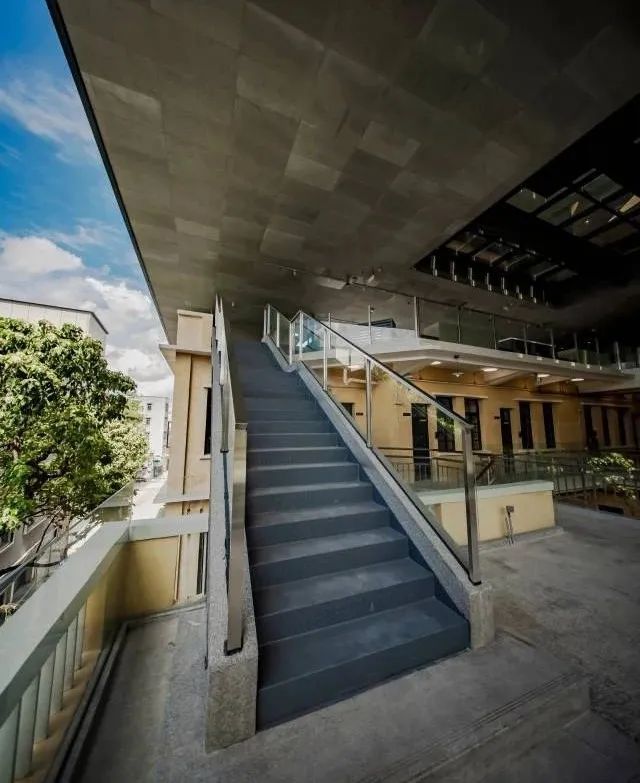 斩获最高荣誉!广东“举重之乡”赢了 斩获最高荣誉!广东“举重之乡”赢了