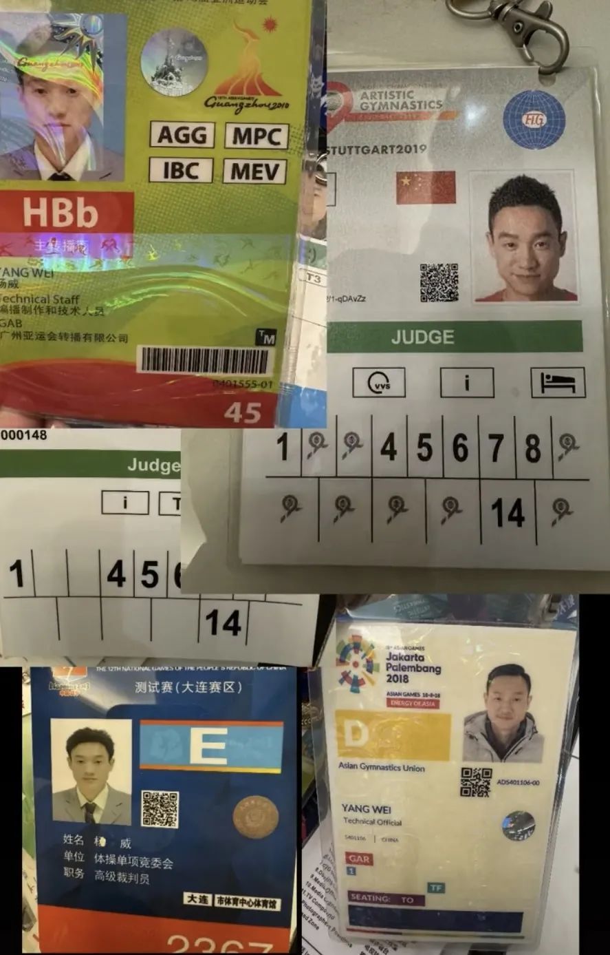 奥运冠军杨威回应“网友让其去考证”