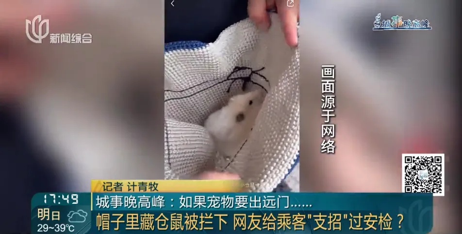 上海地铁明确禁止，还有人想避开安检偷偷干！本月已发现多例，网友：严惩