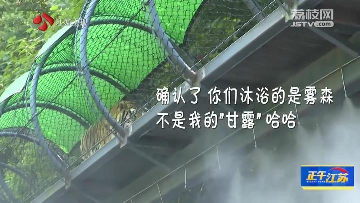 动物避暑有“凉”方