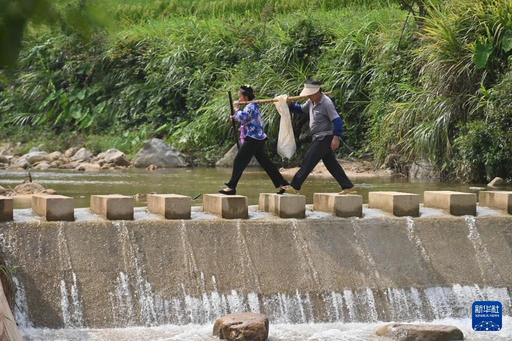 大山里的乡村爱情