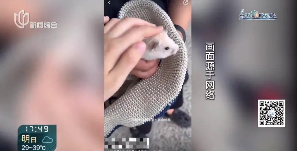 上海地铁明确禁止，还有人想避开安检偷偷干！本月已发现多例，网友：严惩