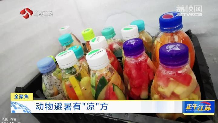 动物避暑有“凉”方
