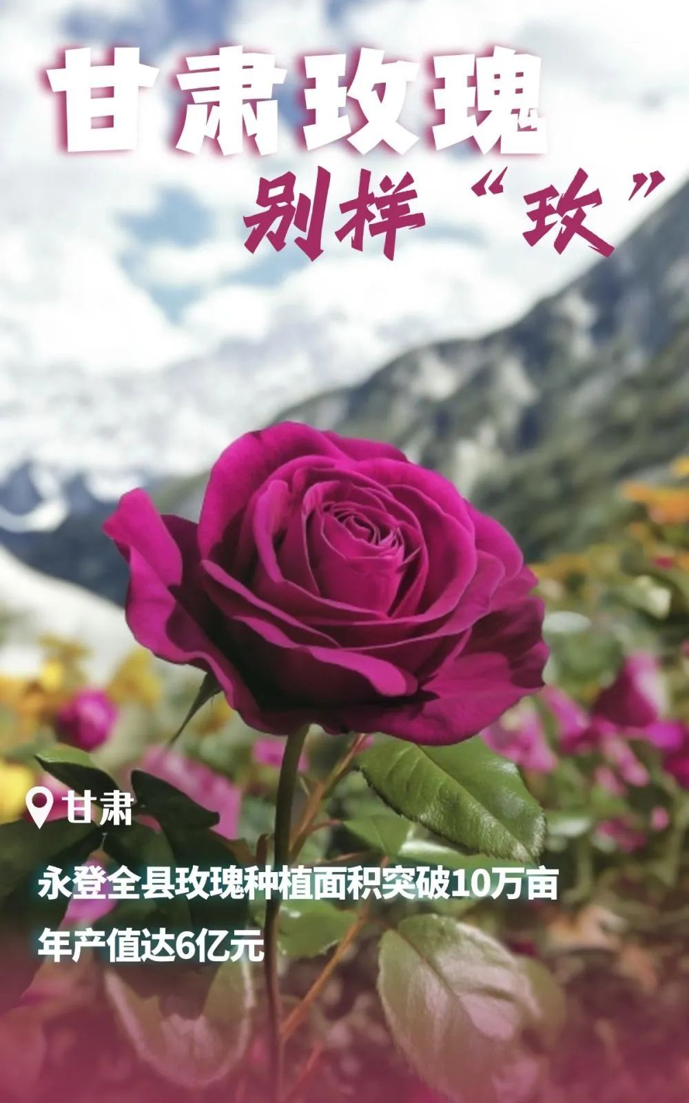 北纬38度！原来这么浪漫