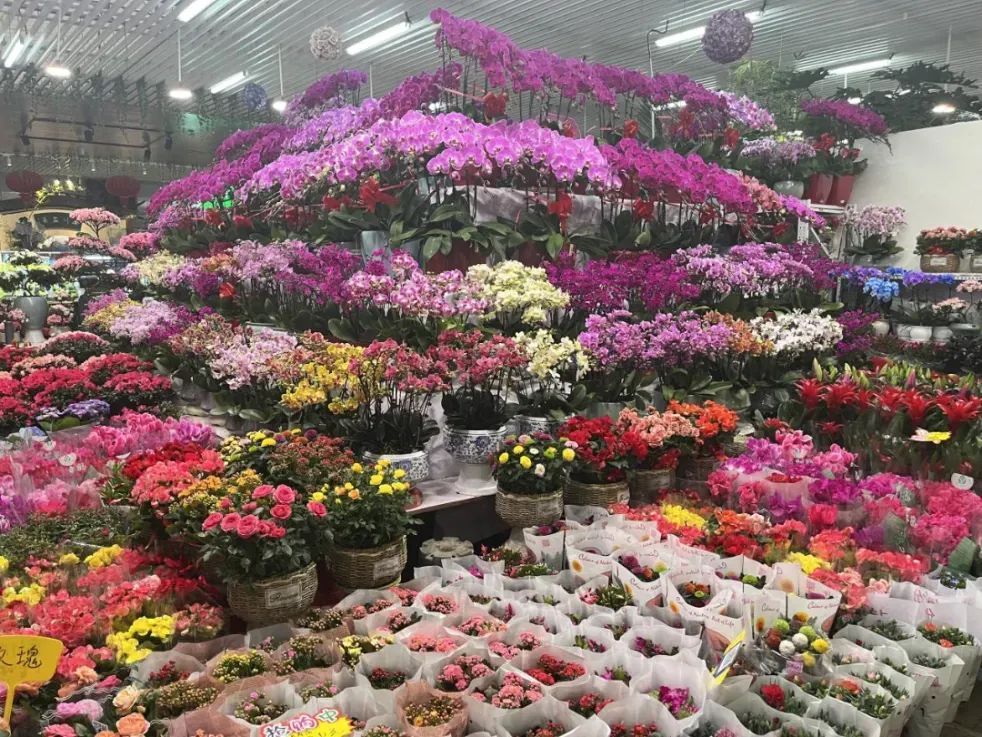 刘亦菲在北京又被偶遇了,北京七夕还有这些好去处—— 刘亦菲在北京又被偶遇了,北京七夕还有这些好去处——