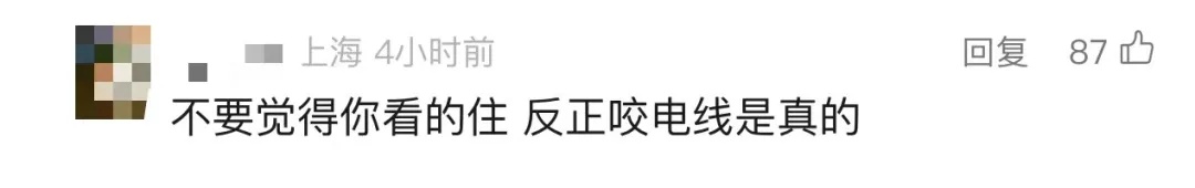 上海地铁明确禁止，还有人想避开安检偷偷干！本月已发现多例，网友：严惩