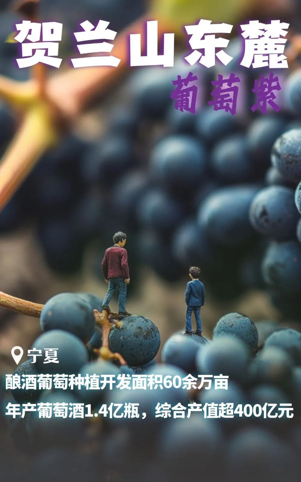 北纬38度！原来这么浪漫