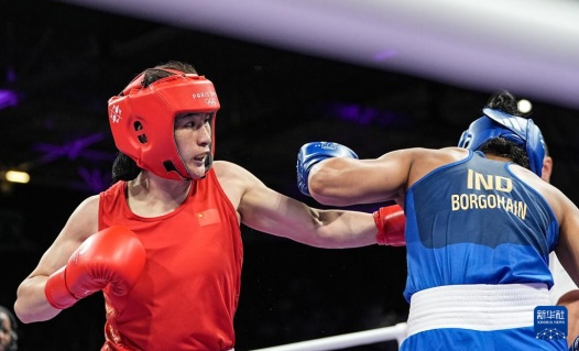 国乒女团冲击五连冠,跳水“梦之队”力争摘金!今日看点→ 国乒女团冲击五连冠,跳水“梦之队”力争摘金!今日看点→