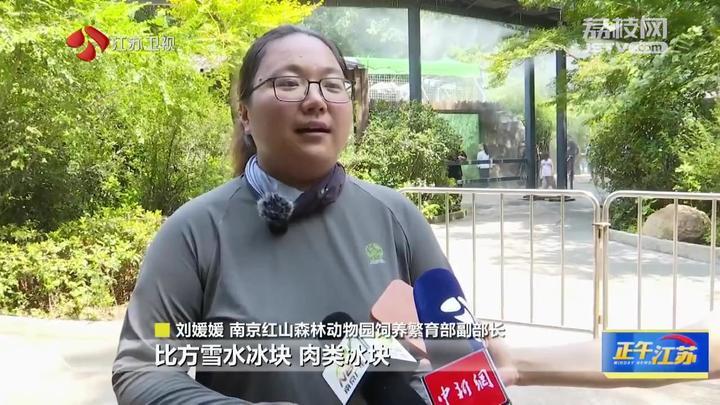 动物避暑有“凉”方