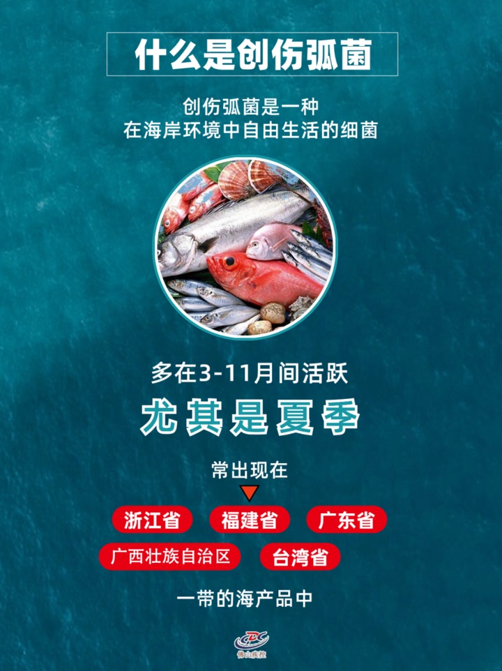 被海鲜“扎”一下竟会丧命?警惕海洋中的“隐形杀手” 被海鲜“扎”一下竟会丧命?警惕海洋中的“隐形杀手”