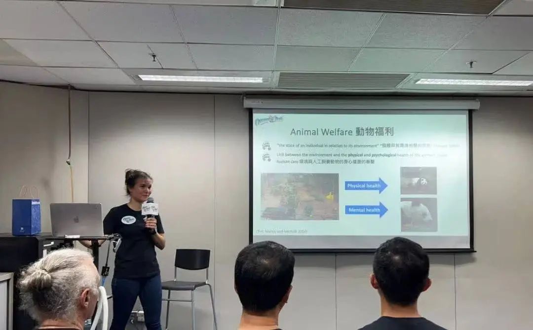 大熊猫的“长寿秘诀”，香港有新发现→
