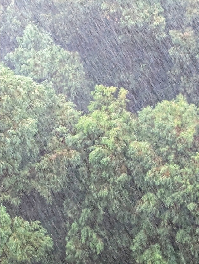 又是雨雨雨雨雨雨雨！广东将退出35℃高温群聊