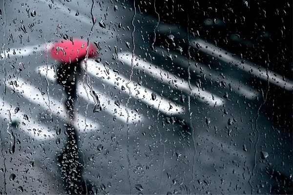 上海四预警高挂！这里已经下大雨！退出"高温群"就在这天→