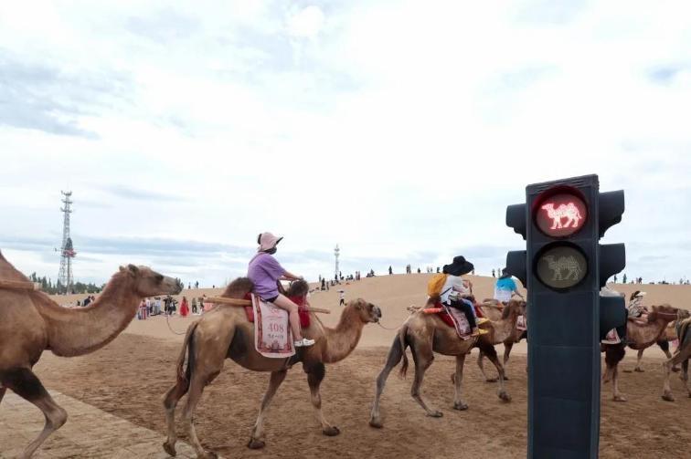“堵骆驼”了！加开的临客列车，趟趟爆满