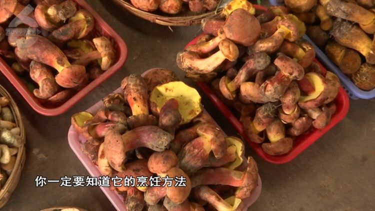 警惕!云南一医院今年已收治近400例病例!医生提醒! 警惕!云南一医院今年已收治近400例病例!医生提醒!