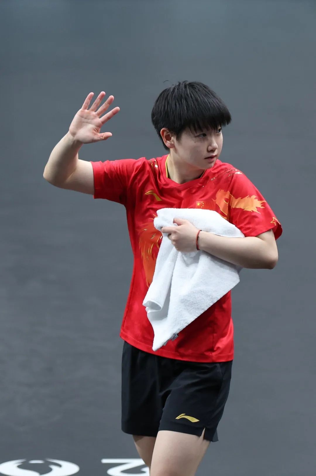 打败日本队!国乒女团五连冠! 打败日本队!国乒女团五连冠!